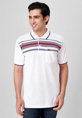 Striped White T-Shirt_41974