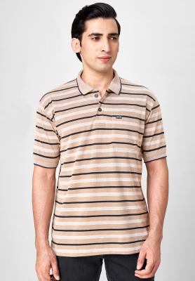Striped Brown T-Shirt_42078